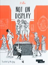 Not On Display (ISBN: 9783039640843)