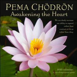 Pema Chodron 2025 Wall Calendar (ISBN: 9781524891114)