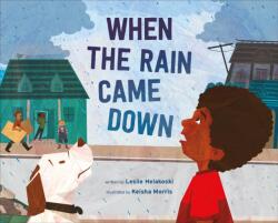 When the Rain Came Down (ISBN: 9780374390204)