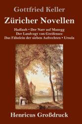 Zuricher Novellen (ISBN: 9783847845409)