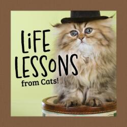 Life Lessons from Cats (ISBN: 9781497105591)
