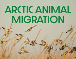 Arctic Animal Migration (ISBN: 9781774506424)