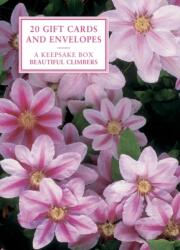 Beautiful Climbers (ISBN: 9780857239808)