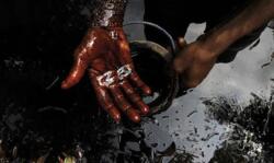 Internationalization of Nigerian Oil Violence (ISBN: 9781848858299)