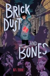 Brick Dust and Bones (ISBN: 9781250876027)