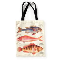 Judgy Fish Canvas Tote (ISBN: 9780735384354)