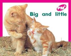 Big and little (ISBN: 9780170095396)