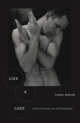 Like a Lake (ISBN: 9781531509941)