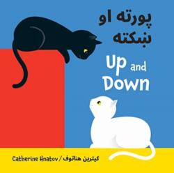 Up and Down (ISBN: 9781595729668)