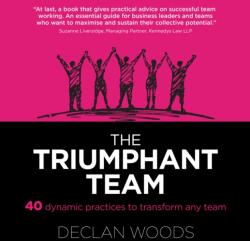 The Triumphant Team (ISBN: 9781739148300)