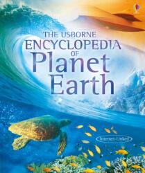 Usborne Encyclopedia of Planet Earth - Anna Claybourne (ISBN: 9781409566243)