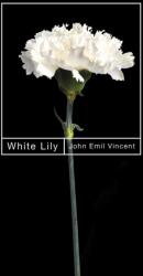 White Lily (ISBN: 9780228023777)