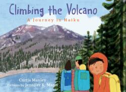 Climbing the Volcano (ISBN: 9780823451661)