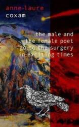 The Male and the Female Poet Go to the Surgery in Exciting Times (ISBN: 9781915108050)