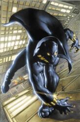 Black Panther By Christopher Priest Omnibus Vol. 1 (ISBN: 9781302945015)