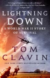 Lightning Down (ISBN: 9781250830388)