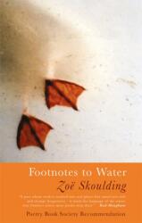 Footnotes to Water (ISBN: 9781781725269)