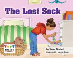 Lost Sock (ISBN: 9781406257373)