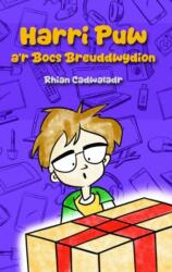 Harri Puw a'r Bocs Breuddwydion (ISBN: 9781845279837)