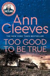 Too Good To Be True (ISBN: 9781035024568)