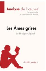 Les Ames grises de Philippe Claudel (ISBN: 9782806291998)