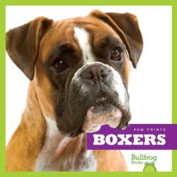 Boxers (ISBN: 9781624967665)