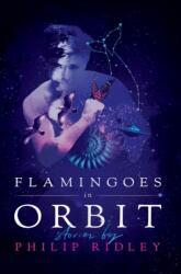 Flamingoes in Orbit (ISBN: 9781948405041)
