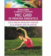 Mic ghid de medicina energetica - Donna Eden, Dondi Dahlin (ISBN: 9789734645848)