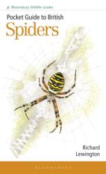 Pocket Guide to British Spiders (ISBN: 9781399406987)