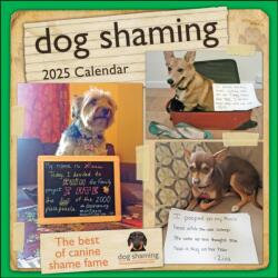 Dog Shaming 2025 Wall Calendar (ISBN: 9781524890759)
