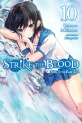 Strike the Blood, Vol. 10 (ISBN: 9780316442121)