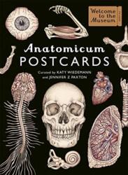 Anatomicum Postcard Box (ISBN: 9781787416529)