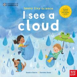 University of Cambridge: Teeny Tiny Science: I See a Cloud (ISBN: 9781805133254)