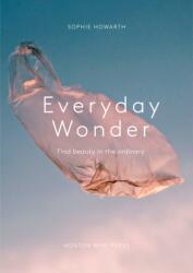 Everyday Wonder (ISBN: 9781914314780)