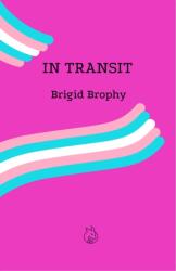 In Transit (ISBN: 9781739744175)