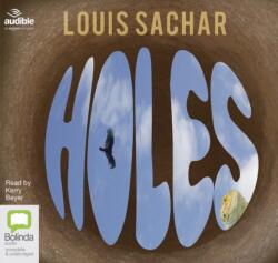 Holes (ISBN: 9781489453945)