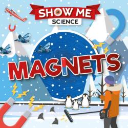 Magnets (ISBN: 9781786377975)