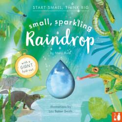 Small, Sparkling Raindrop (ISBN: 9781916780101)