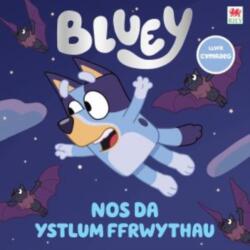 Blwi - Nos Da Ystlum Ffrwythau! (ISBN: 9781804164242)