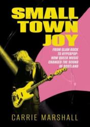 Small Town Joy (ISBN: 9781916637009)