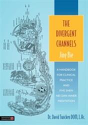The Divergent Channels - Jing Bie (2014)