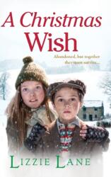 A Christmas Wish (ISBN: 9781804159231)