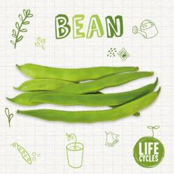 Bean (ISBN: 9781839271014)