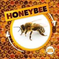 Life Cycle of a Honeybee (ISBN: 9781786372819)