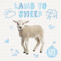 Lamb to Sheep (ISBN: 9781786371461)