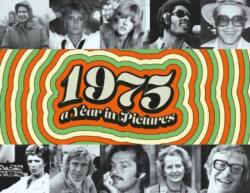 1975 A Year In Pictures (ISBN: 9781399992060)