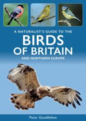 A Naturalist's Guide to the Birds of Britain and Northern Europe (ISBN: 9781913679903)