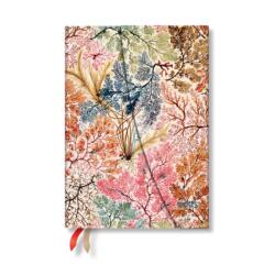 Anemone (ISBN: 9781408757796)