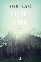 Sturge Town (ISBN: 9781845235741)