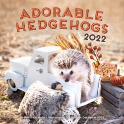 Adorable Hedgehogs 2022 (ISBN: 9781631067723)